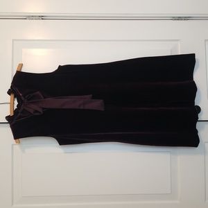 Ann Taylor Factory Velvet Dress